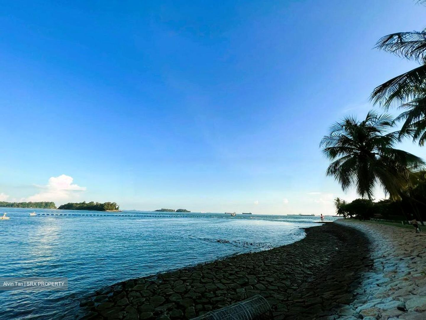 Cove Drive (D4), Detached #464388251